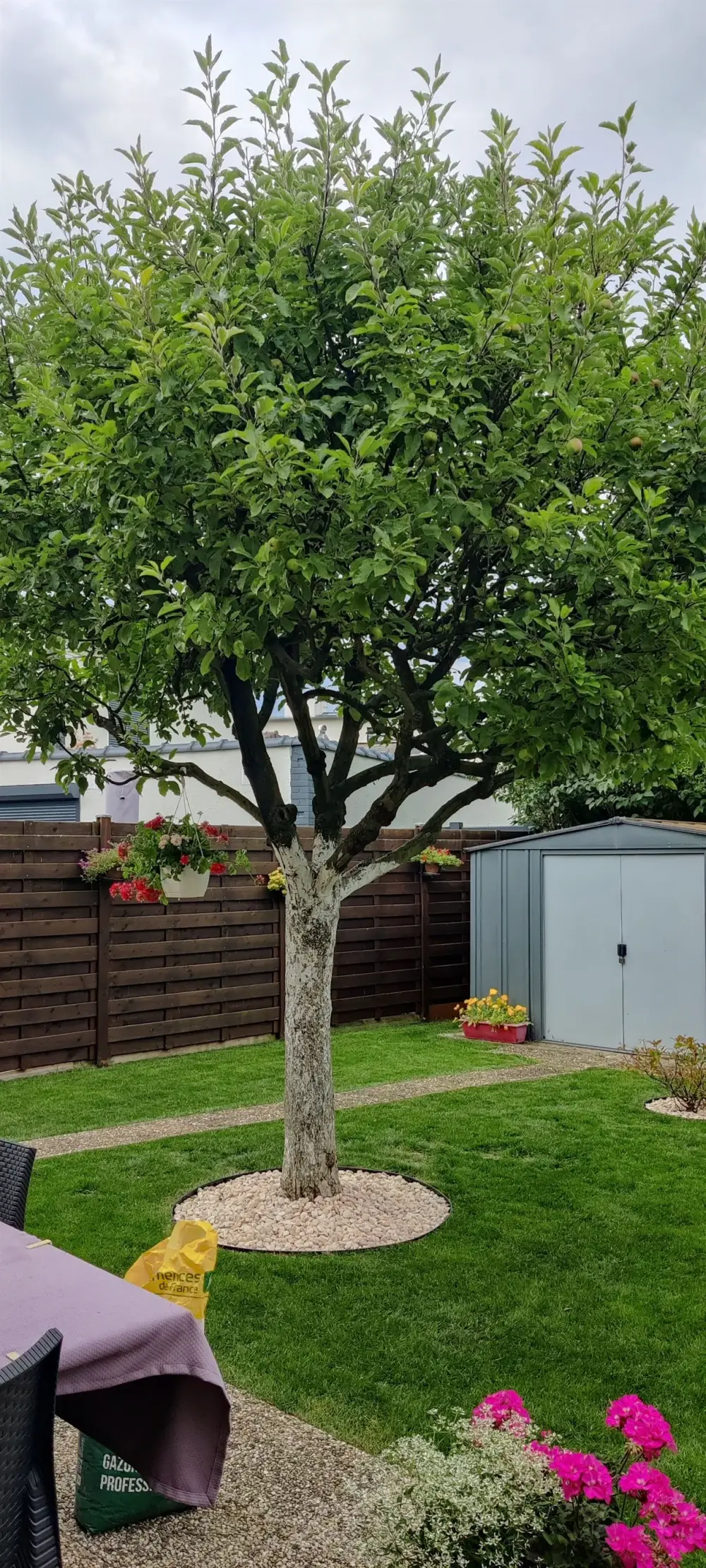 Création de jardin - DAP Paysagiste à Reims (2)