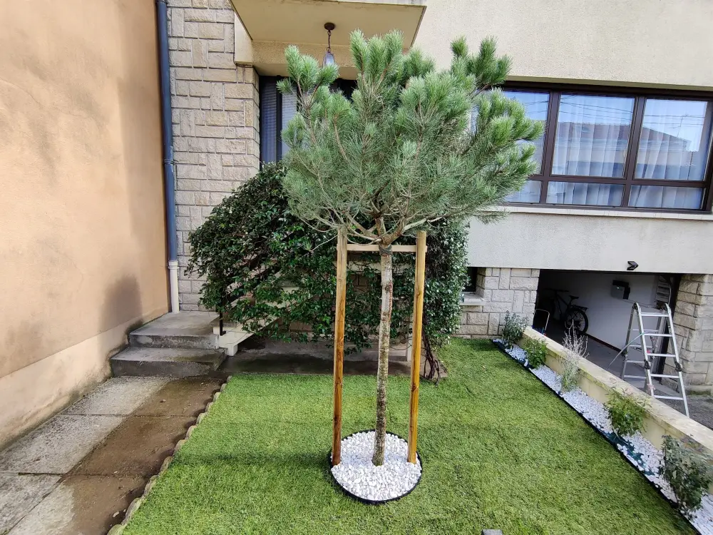 Création de jardin - DAP Paysagiste à Reims (25)