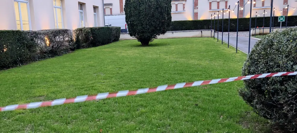 Création de gazon - DAP Paysagiste à Reims (7)