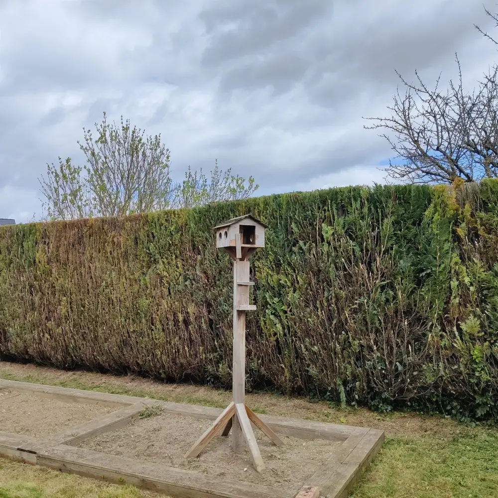 Taille et élagage - DAP Paysagiste à Reims (28)