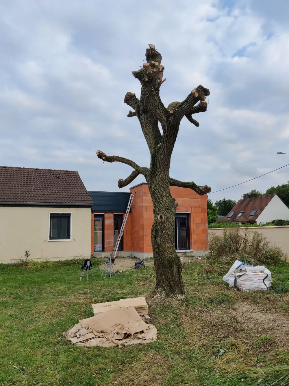 Taille et élagage - DAP Paysagiste à Reims (7)