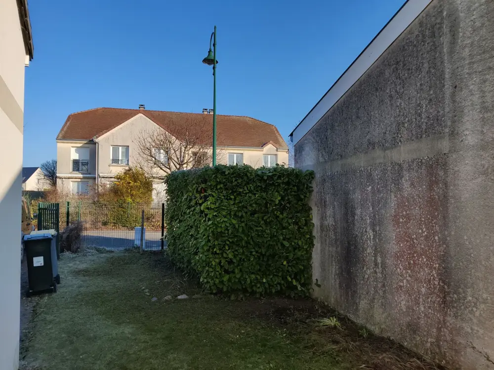 Taille et élagage - DAP Paysagiste à Reims (15)