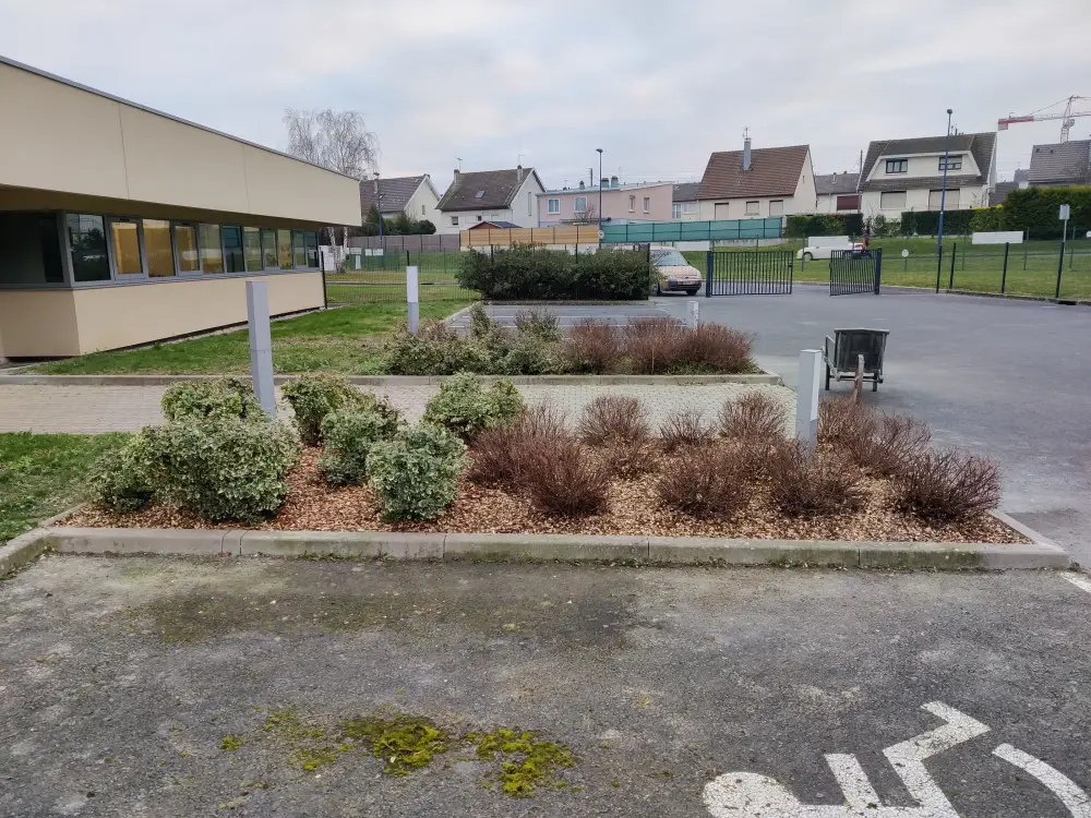 Entretien de massifs - DAP Paysagiste à Reims (14)